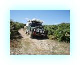 SardKors2010- (109)-web1.jpg